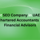 Best SEO Company in UAE for Chartered Accountants & Financial Advisors